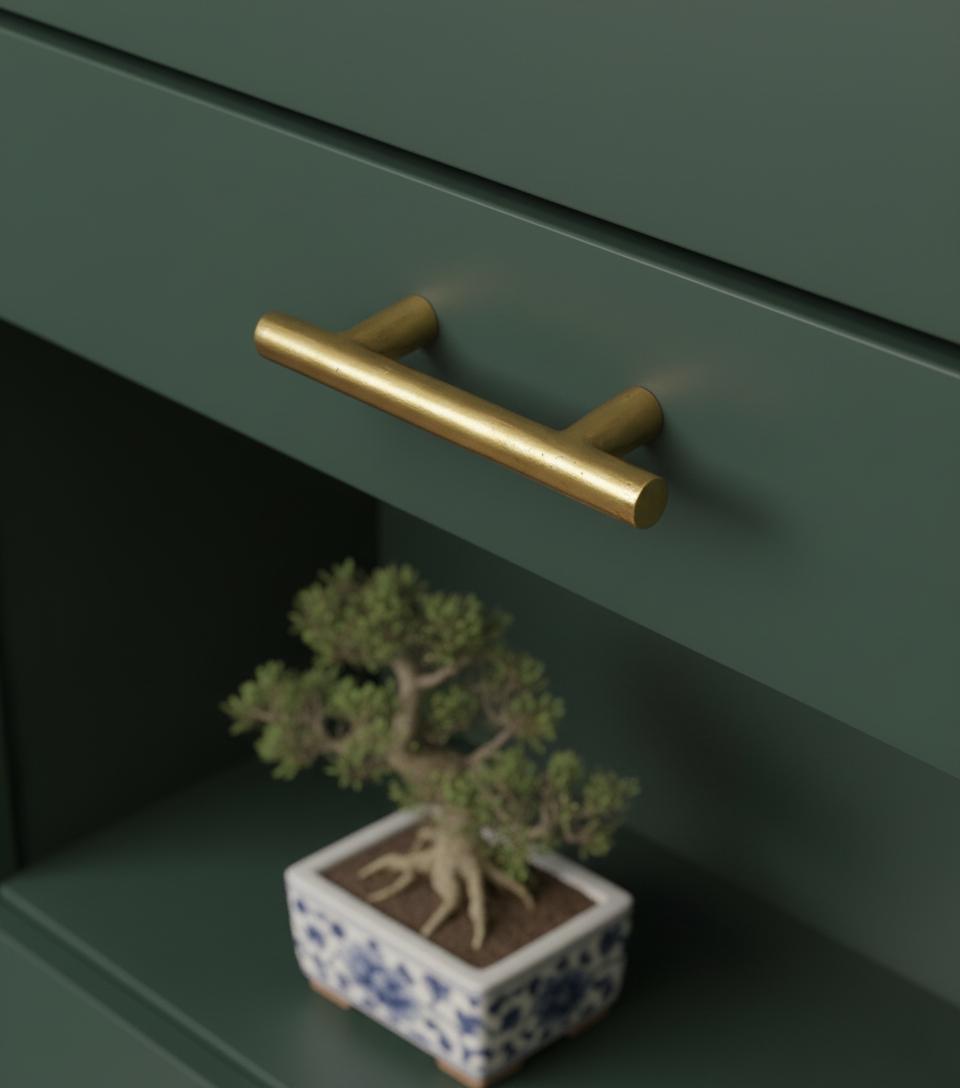 Green cabinet with gold handle and small potted plant on a shelf