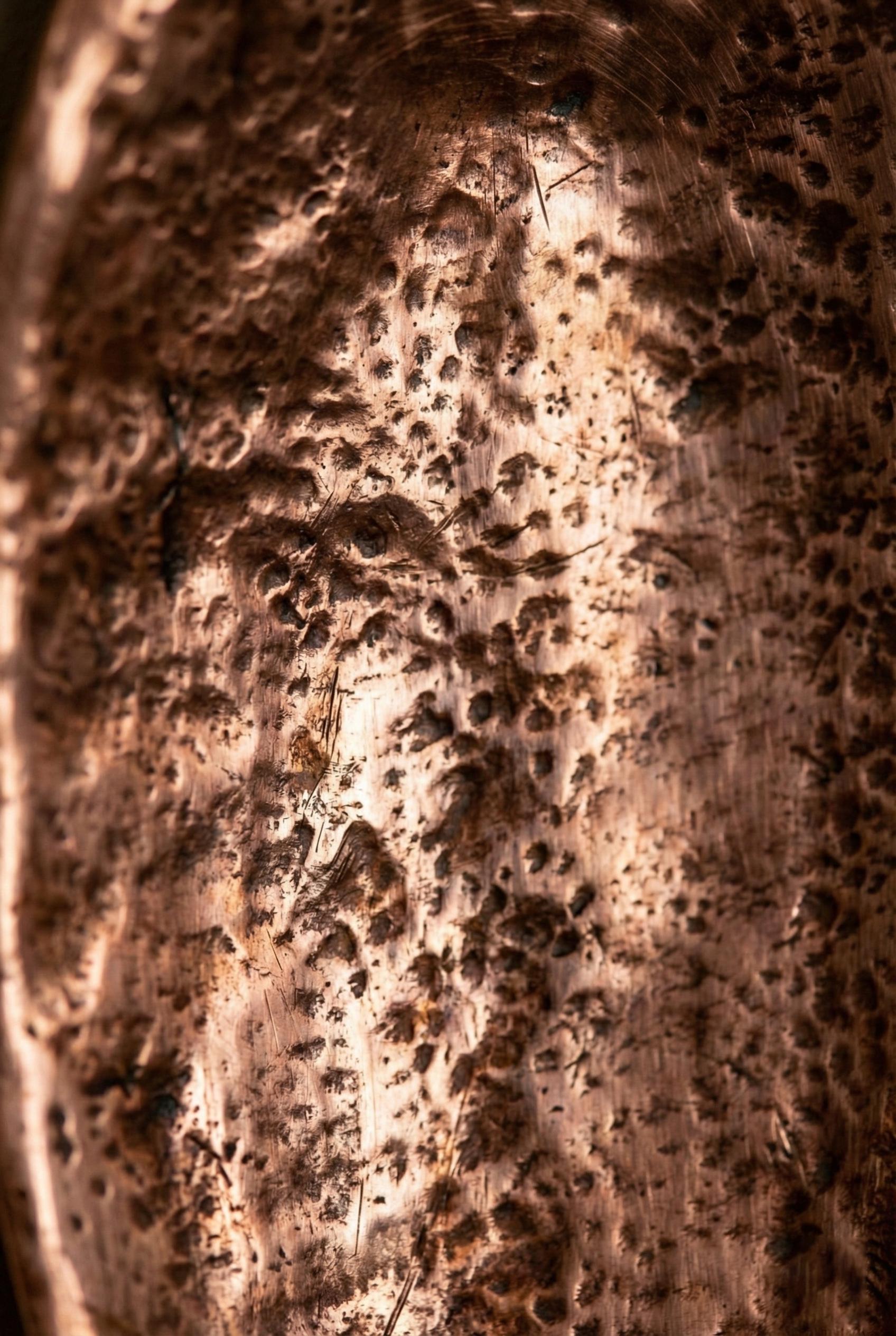 Close-up of a textured surface with brown and black colors